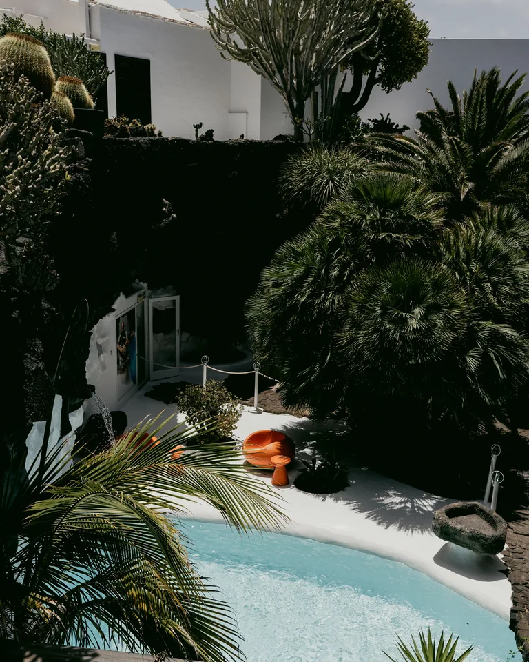 Backyard swimming pool on a sunny day