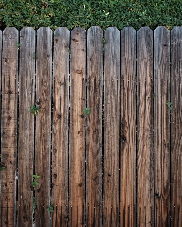 Tall wooden privacy fence enclosing a green backyard