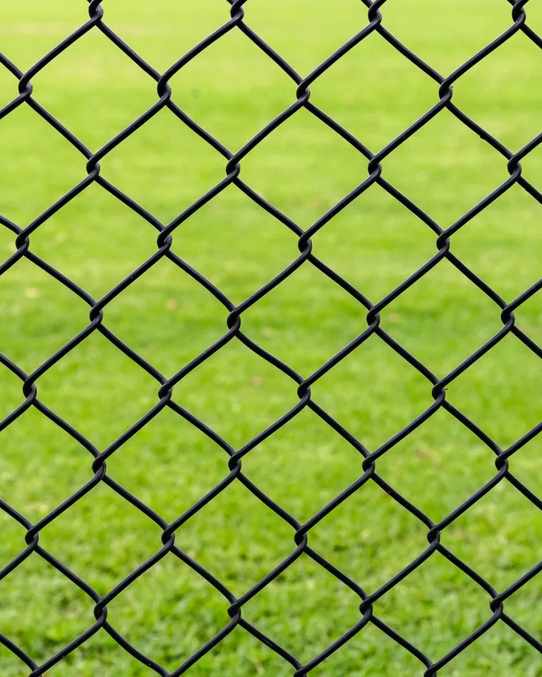 Chain link fence around a backyard