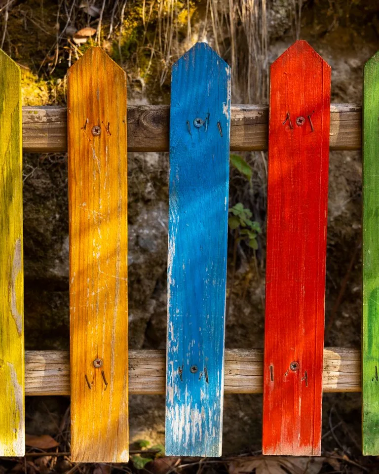 Freshly painted wooden fence panels in a garden