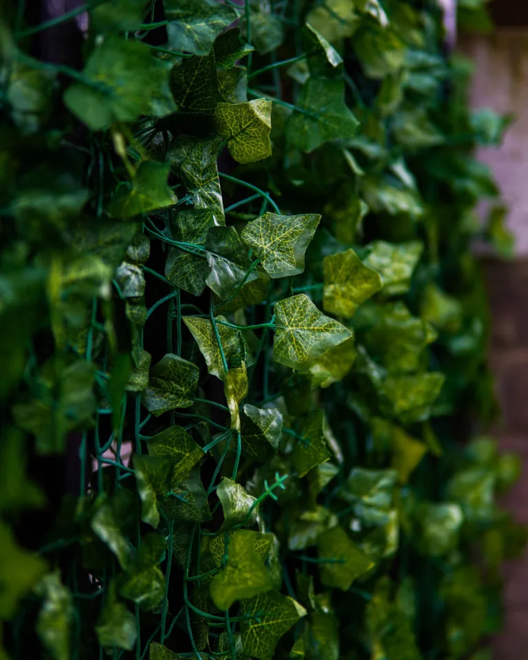 Faux ivy privacy screen covering a fence