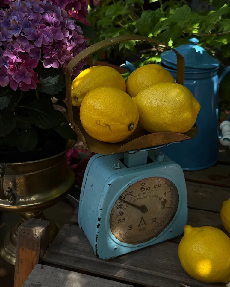 Rustic still life with lemons on a vintage scale and hydrangeas