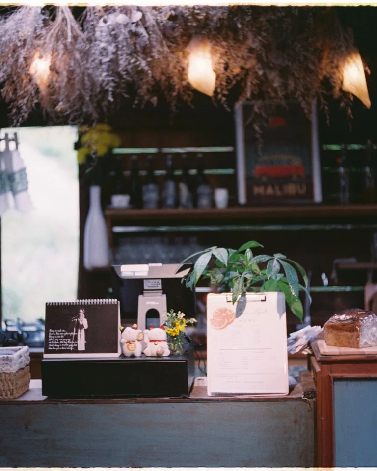 Rustic cafe counter decorated with plants