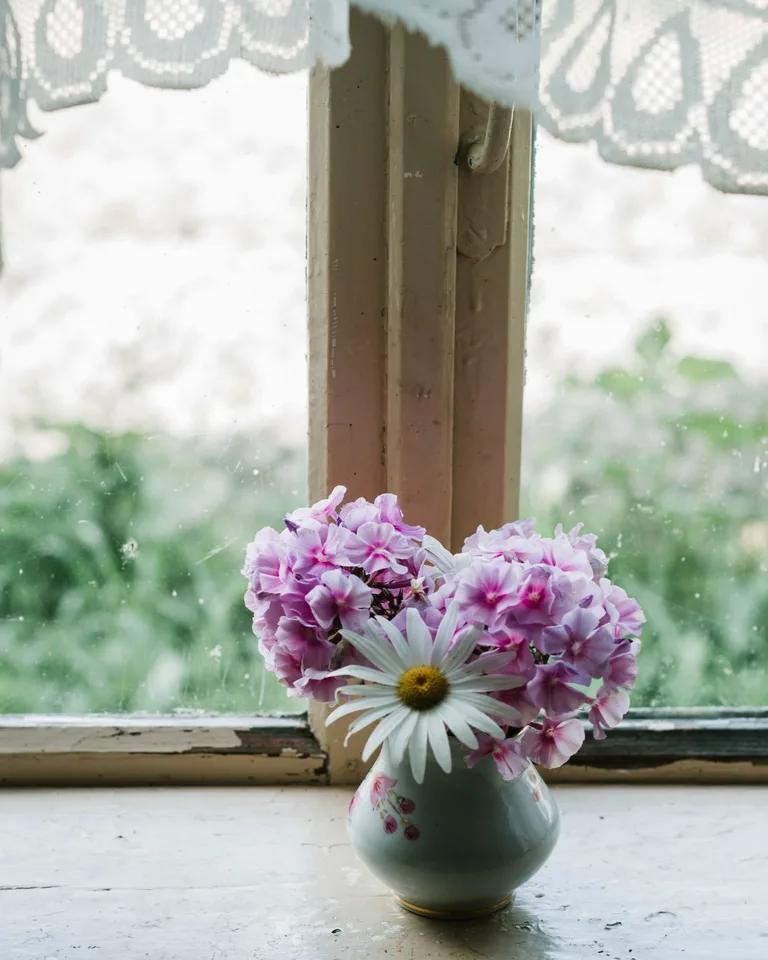 Delicate purple and white flowers in a vase by a vintage window