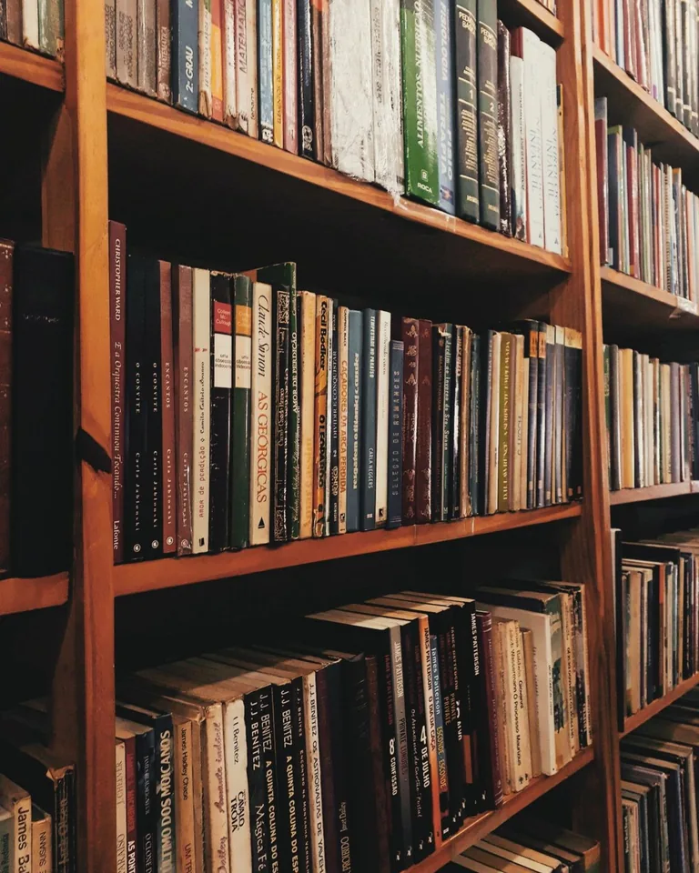 Close-up of a cozy library bookshelf with colorful book covers