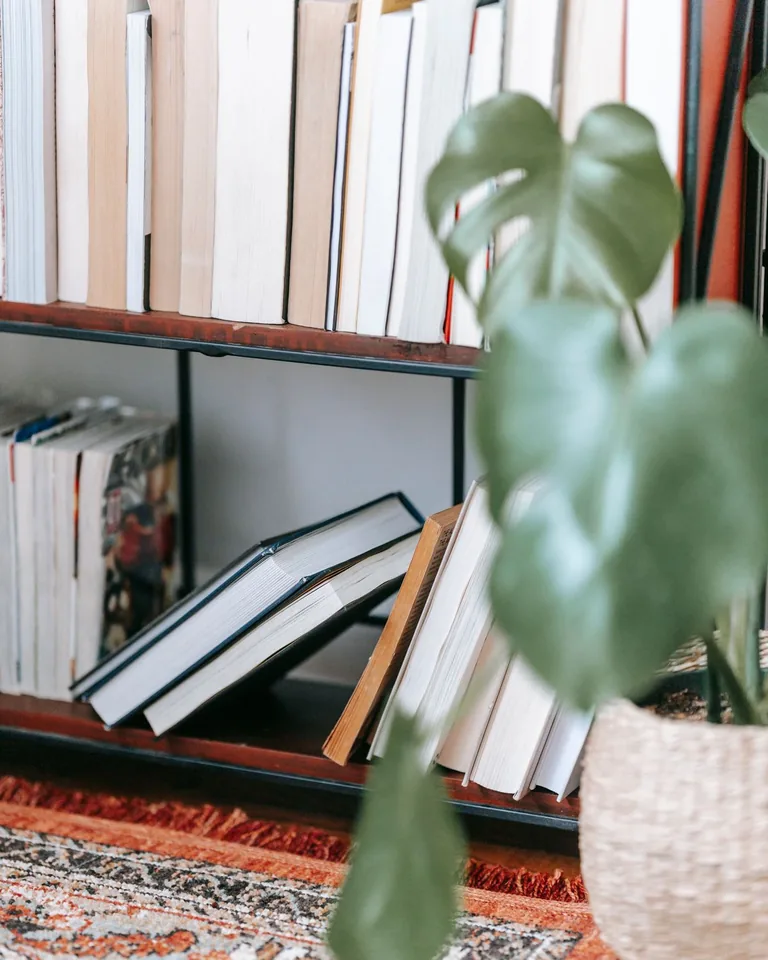 Home library interior with books and a potted plant