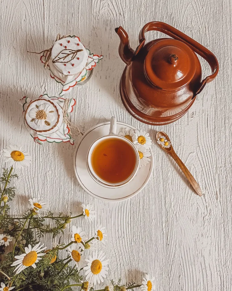 Ceramic teapot and cup with chamomile flowers