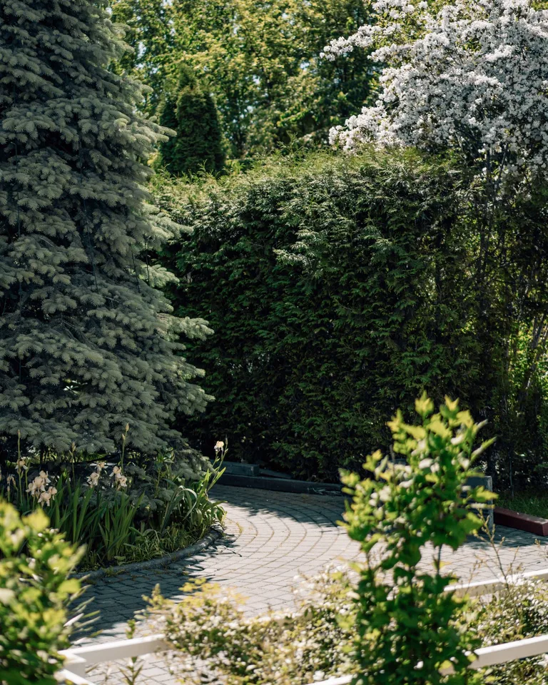 Garden pathway lined with lush greenery and blooming trees
