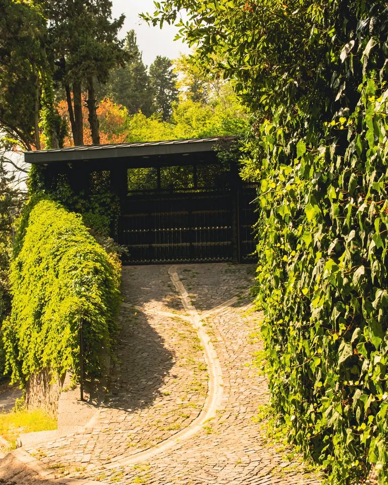 Serene outdoor scene with lush greenery and a cobblestone path