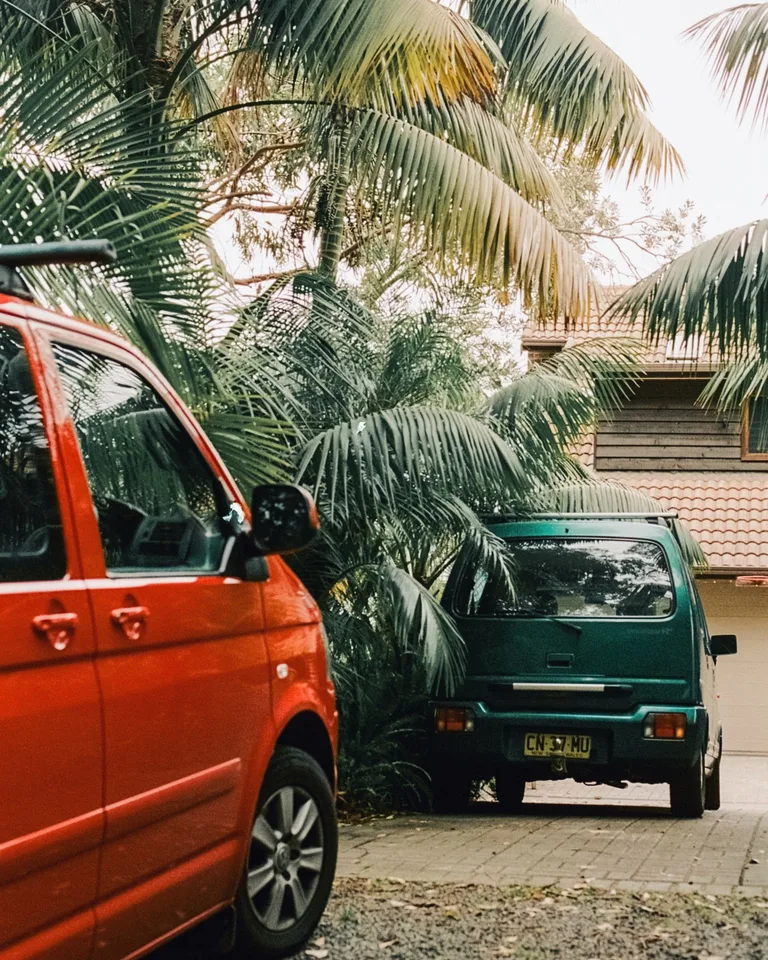 Tropical setting with parked cars and palm trees lining a driveway