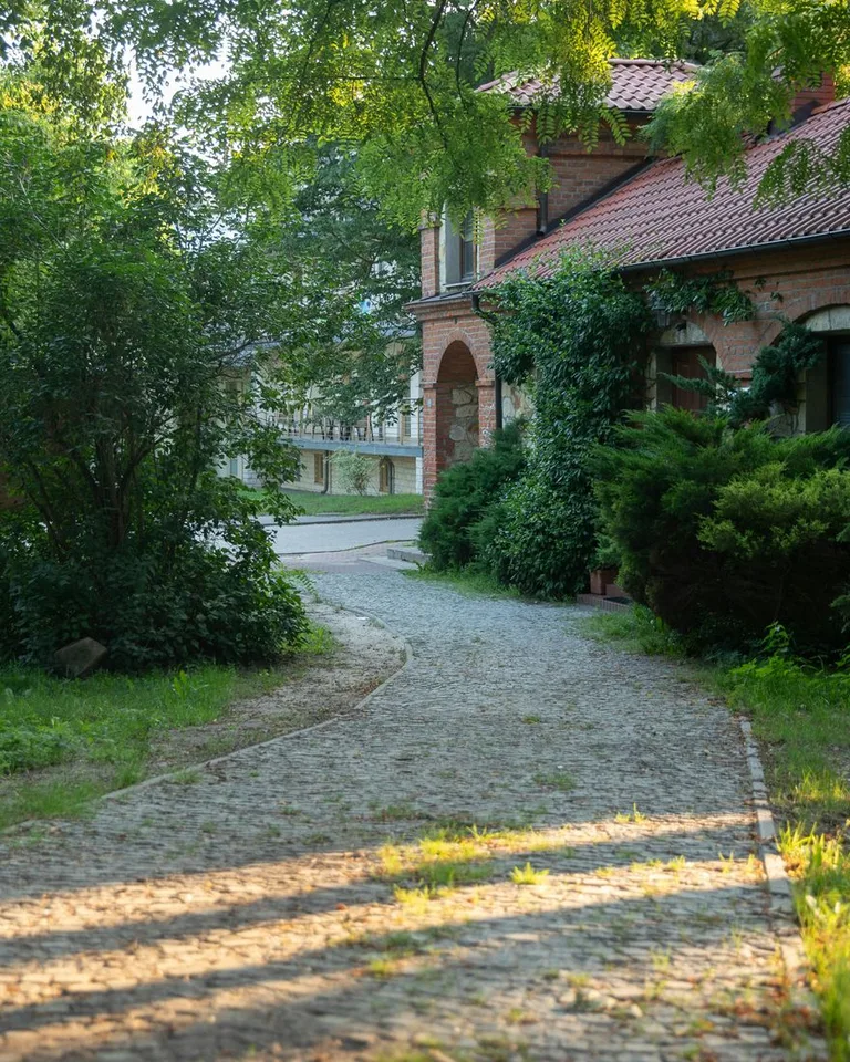 Stone path leading to a house with trees and grass