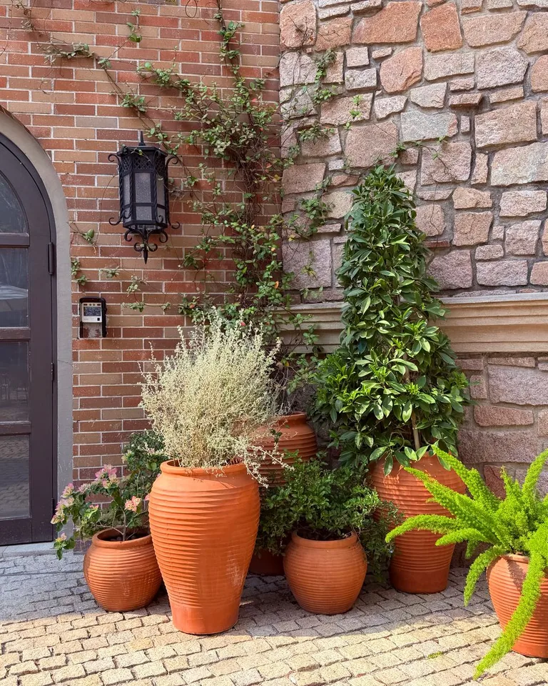 Large potted plant brightening an entryway corner
