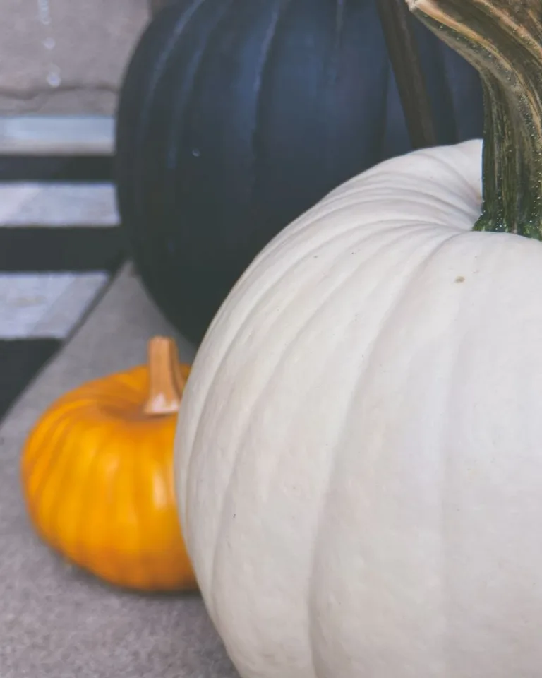 Close-up of white, black, and orange pumpkins on a checkered mat