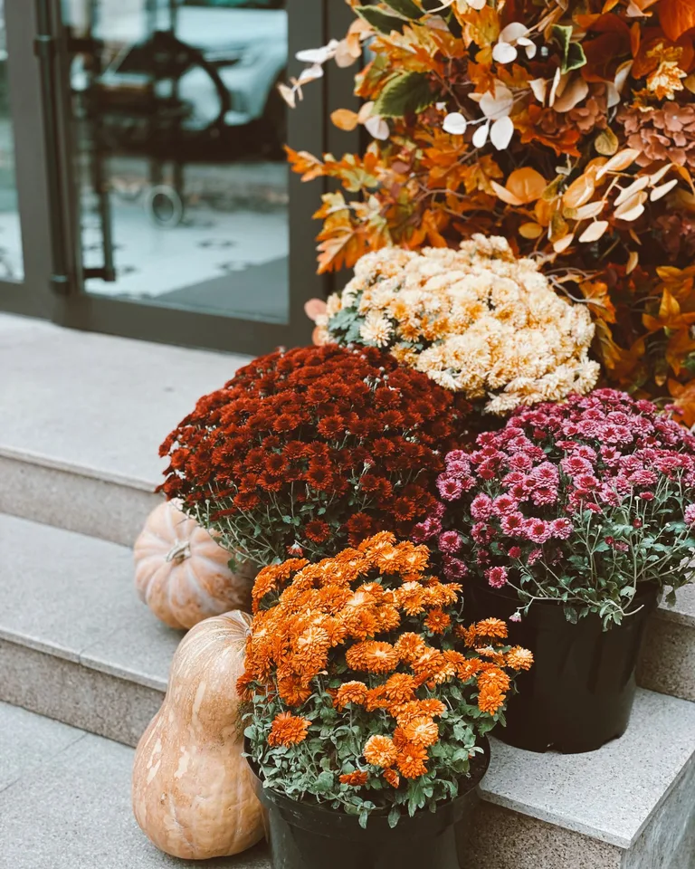 Colorful mums and pumpkins stacked on stone steps