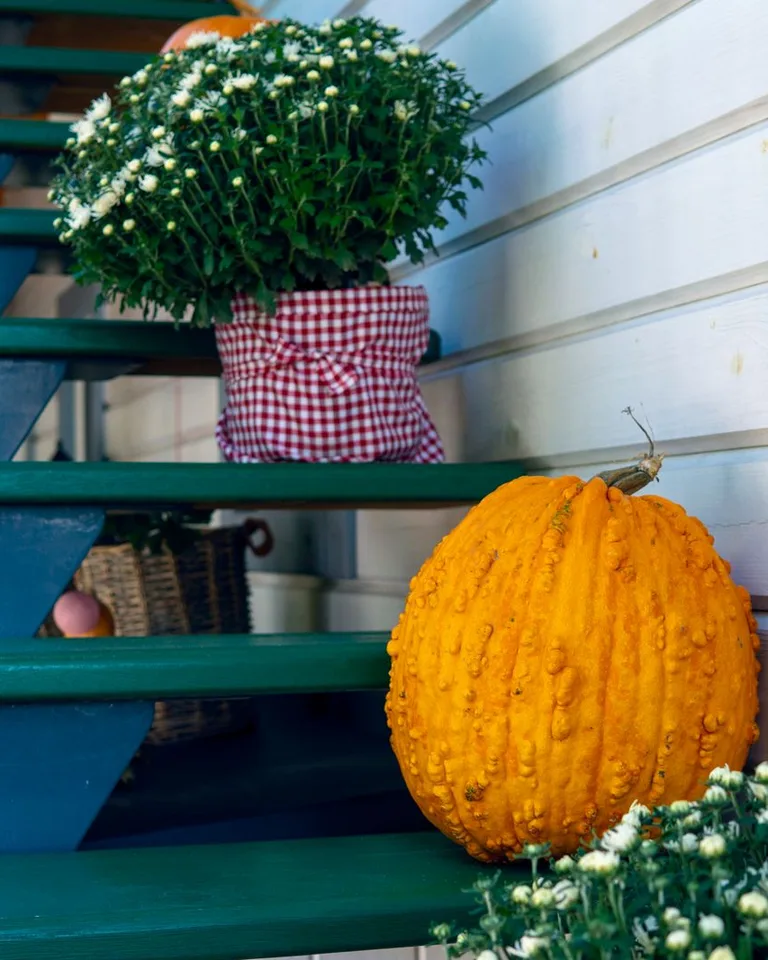 Pumpkin and flowers arranged on wooden outdoor stairs
