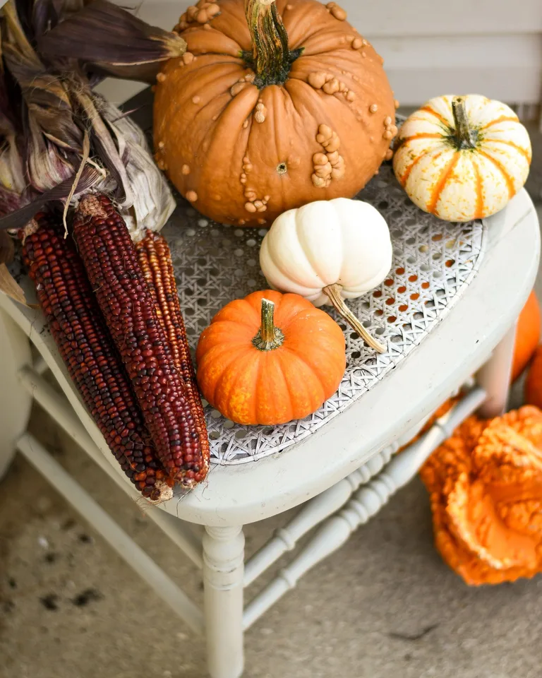 Rustic chair with assorted pumpkins and corn cobs