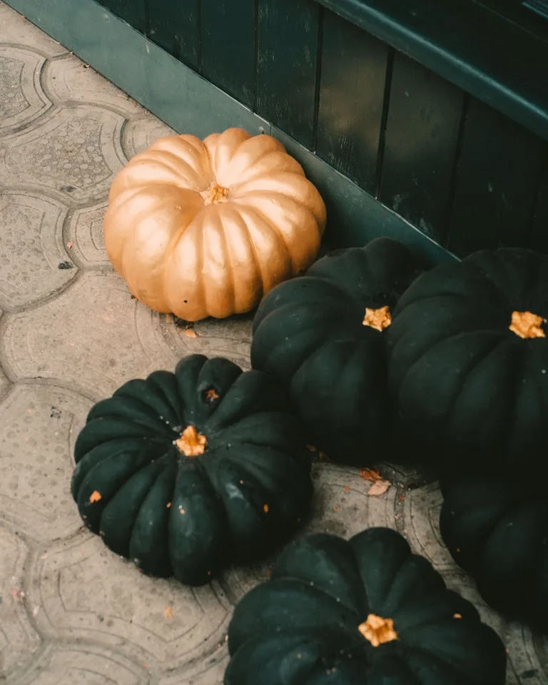 Artistic display of black and gold pumpkins on a doorstep
