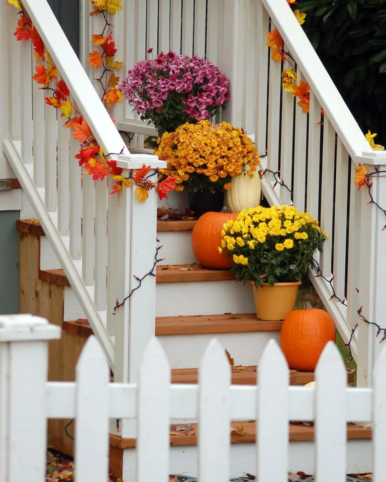 Autumn staircase with colorful mums and pumpkins