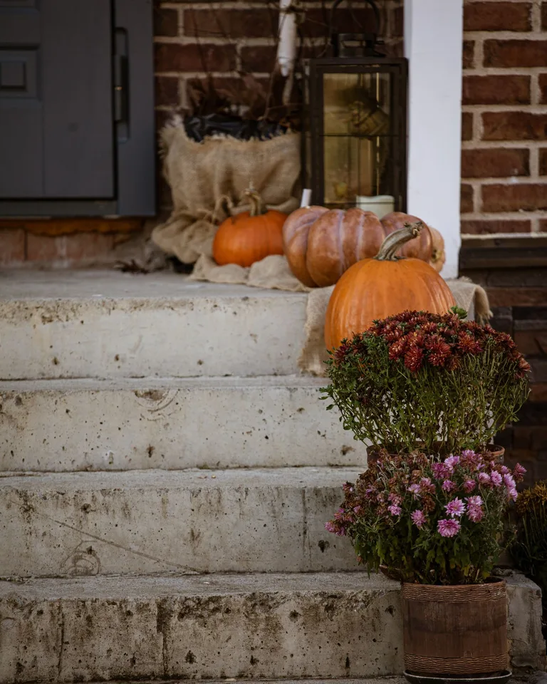 Fall-themed entryway with pumpkins and flowers on concrete steps