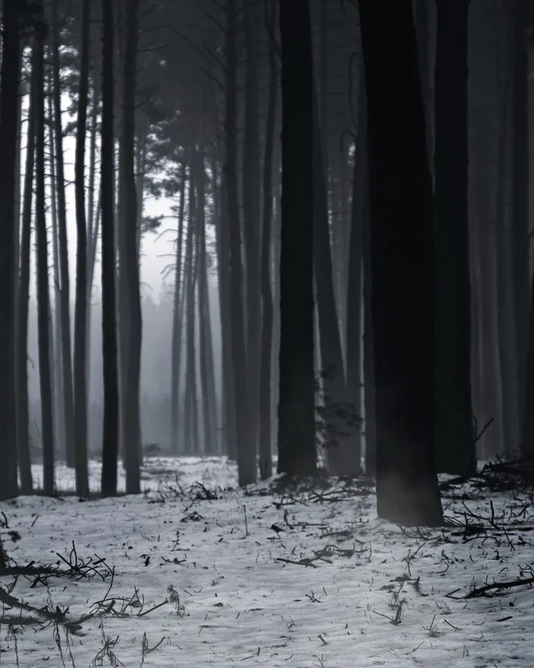 Foggy dark scene setting a spooky mood for a Halloween graveyard