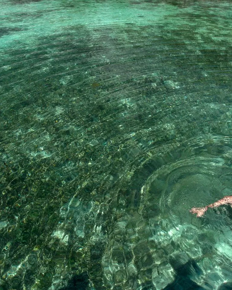 Man swimming in clear tropical waters