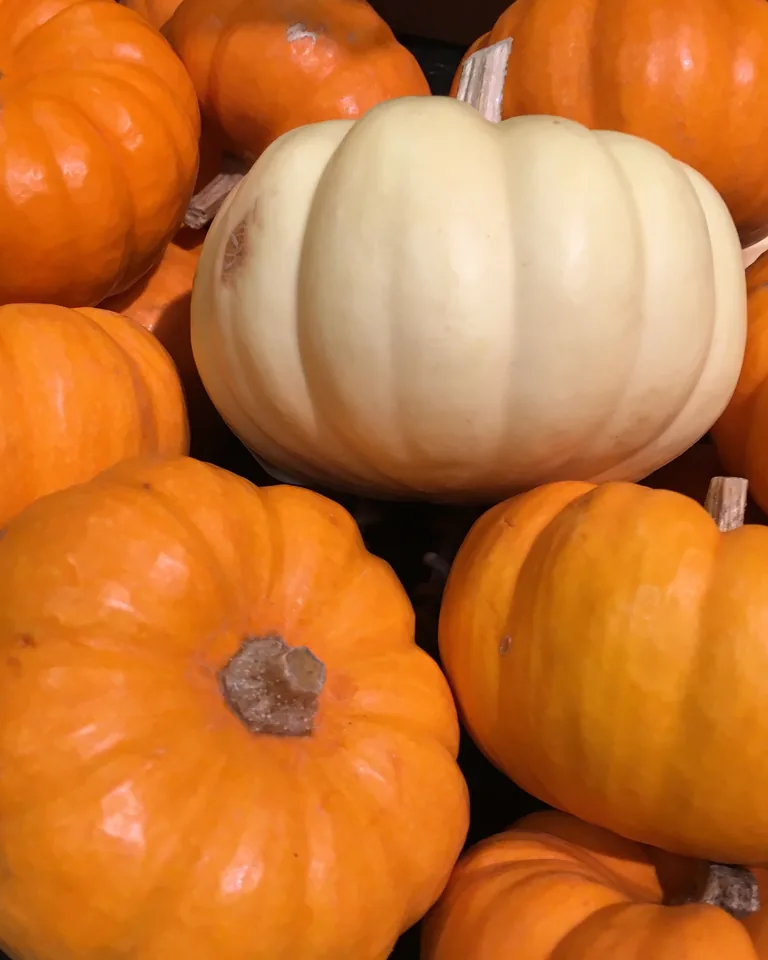 Autumn decoration with pumpkins, fall foliage and harvest vegetables