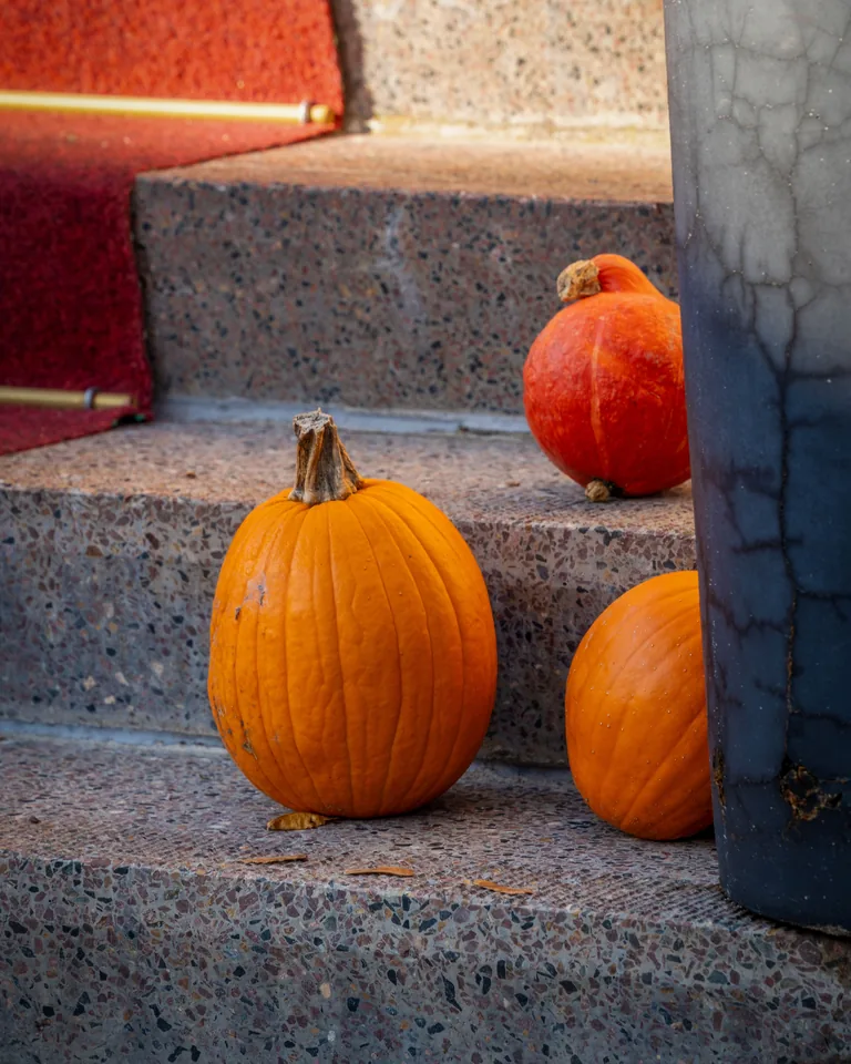 Colorful pumpkins arranged on stone steps in autumn