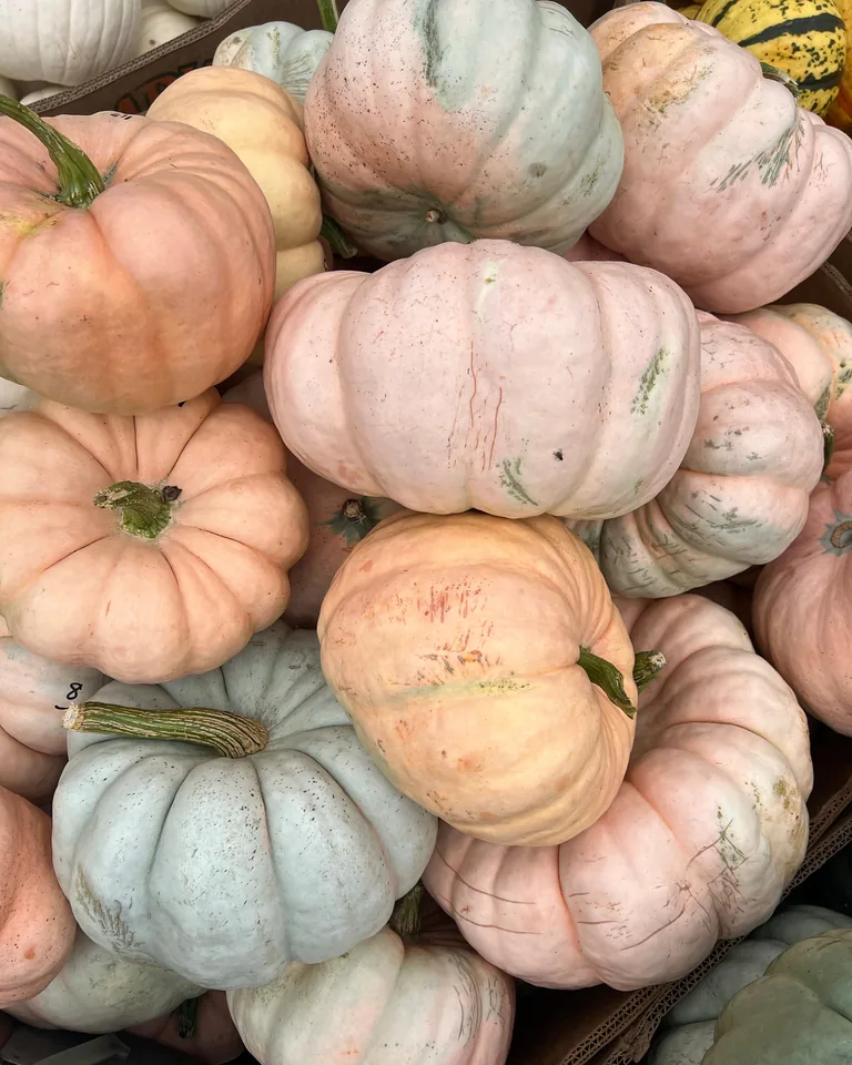 Pastel pumpkins in a rustic basket for autumn decor