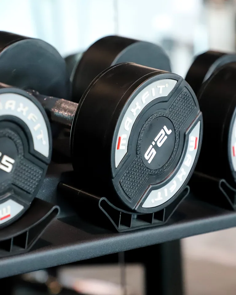 Dumbbells neatly arranged on a rack in a modern gym