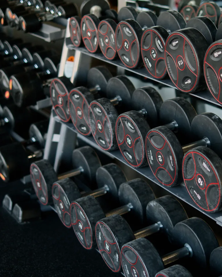 Dumbbells arranged on a rack in a modern gym