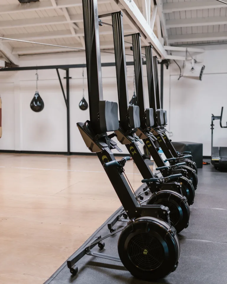 Rowing machines lined up on a black rubber gym mat