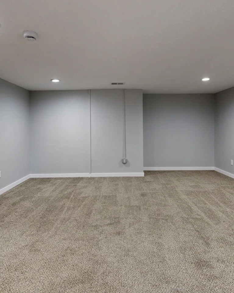 Open basement room with neutral gray walls and plush carpeting