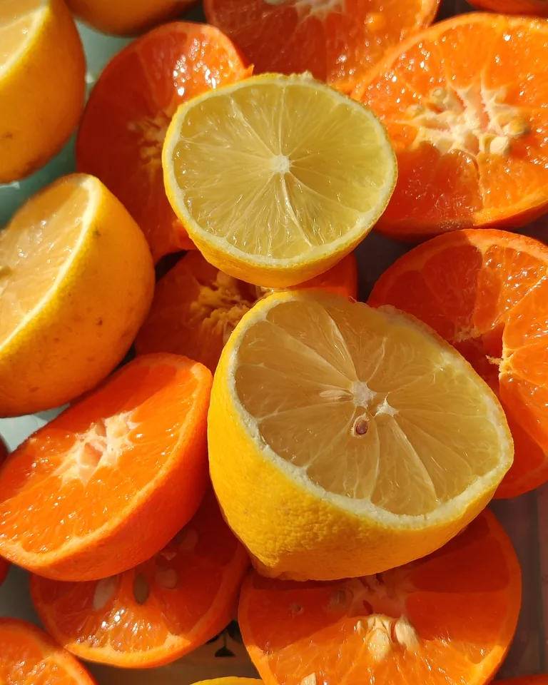 Bowl of vibrant citrus fruits in sunlight