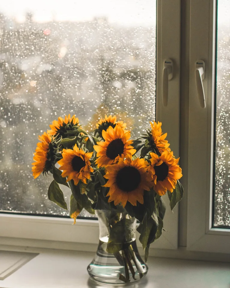 Vibrant yellow sunflowers in a clear glass vase